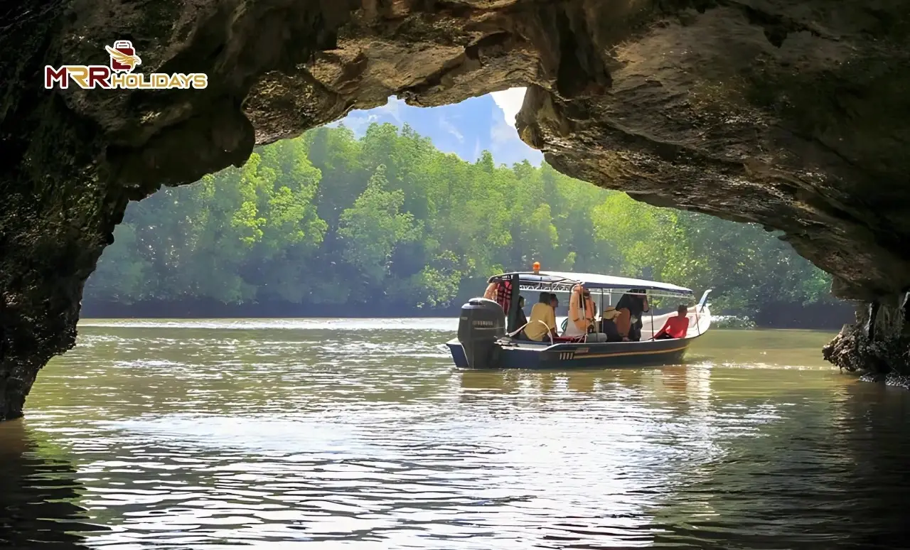 Langkawi Mangrove Tour Image 1